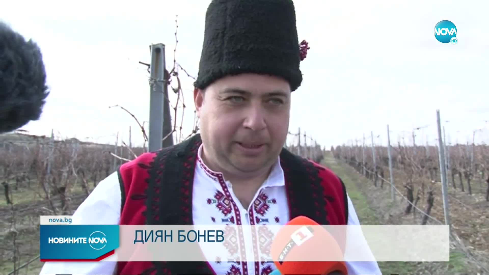 Как отбелязват Трифон Зарезан в село Еленово