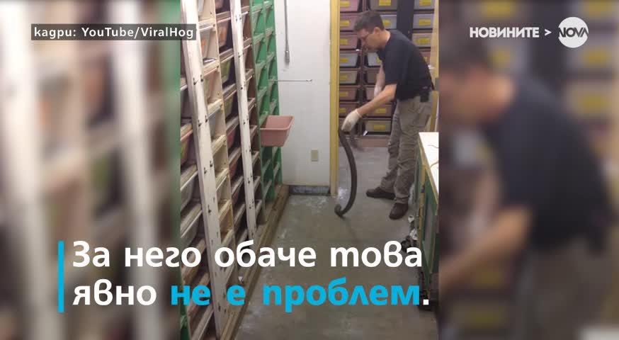 Коя е най-лошата професия на света? (ВИДЕО)