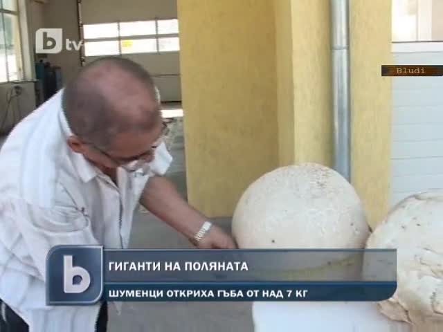 Нашенец откъсна 9 кг гъба-гигант в Шуменско