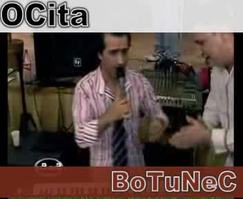 Cita Sevcet 2008 Tallava