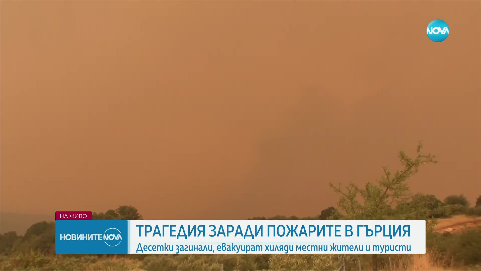 Откриха 18 обгорени тела в района на Александруполис