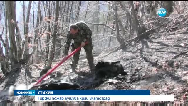 Горски пожар бушува край Златоград