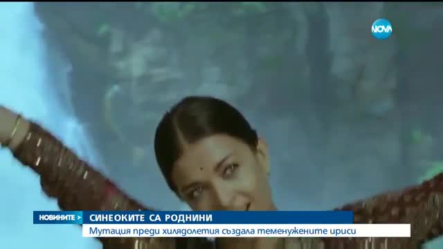 СИНЕОКИТЕ СА РОДНИНИ: Мутация преди хилядолетия създала теменужените ириси