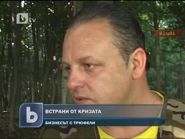 Дават 100 лв за кг. трюфели в разгара на сезона