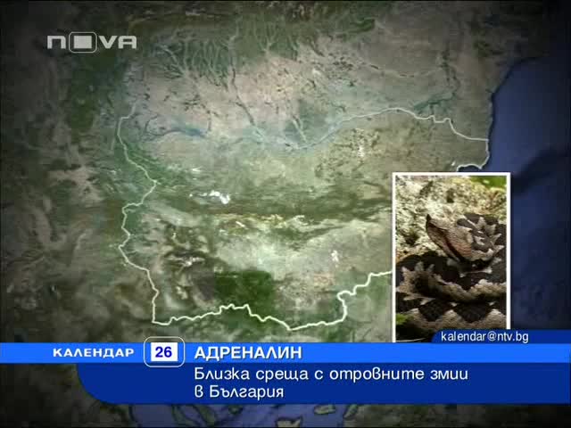 Най-опасните змии у нас