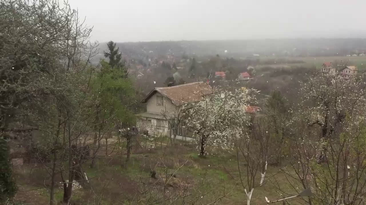 Априлски сняг в гр. Търговище