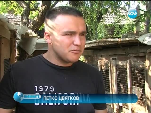 Зайци-великани отглеждат в българско село