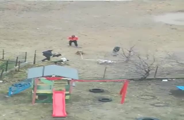 Тренировка на бойни кучета до детска площадка