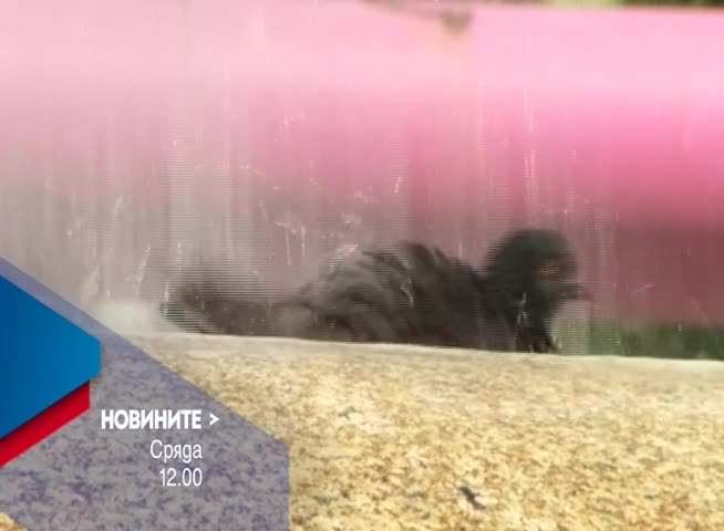 В Новините на NOVA от 12.00 ч. на 21 юни очаквайте