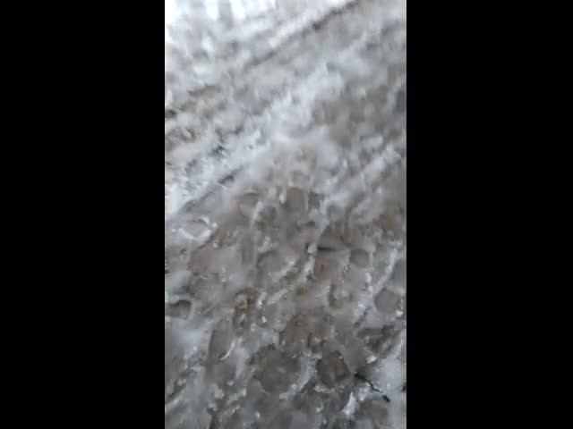 Паднали дървета и клони