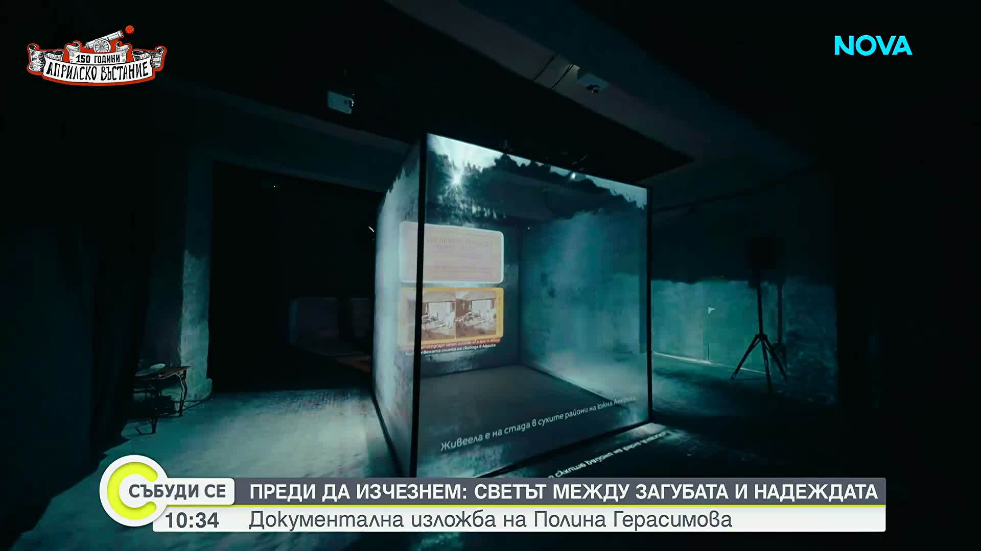 Преди да изчезнем: Светът между загубата и надеждата