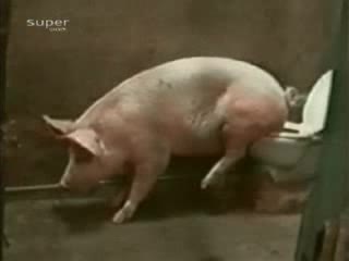 А Вие Го Наричате Прасе - Смях