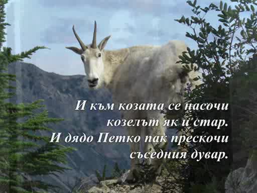 Недялко Йорданов - Еротично