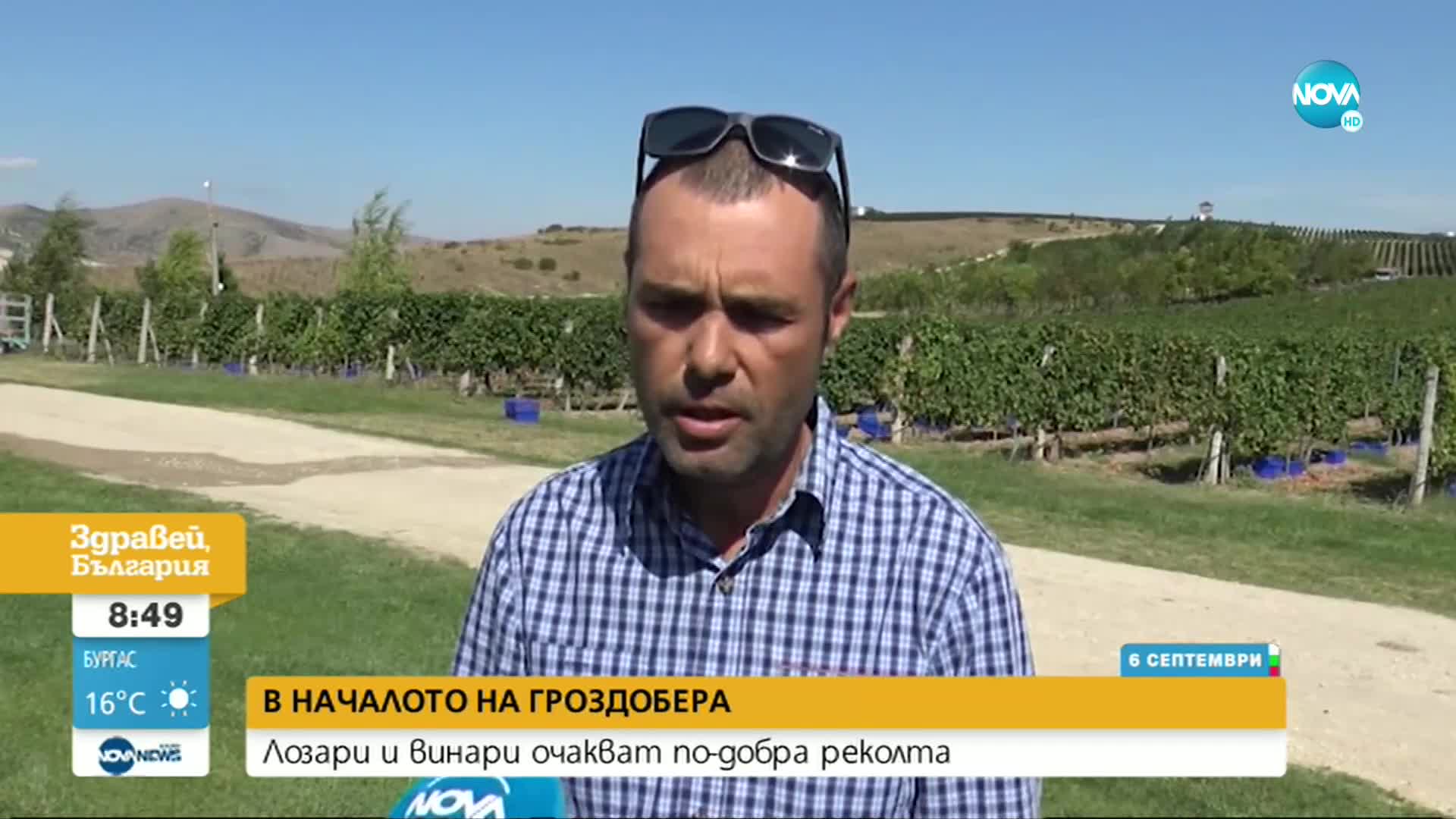 Пандемията сви консумацията на вино наполовина