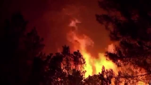 Над 550 души бяха евакуирани при пожар в Испания
