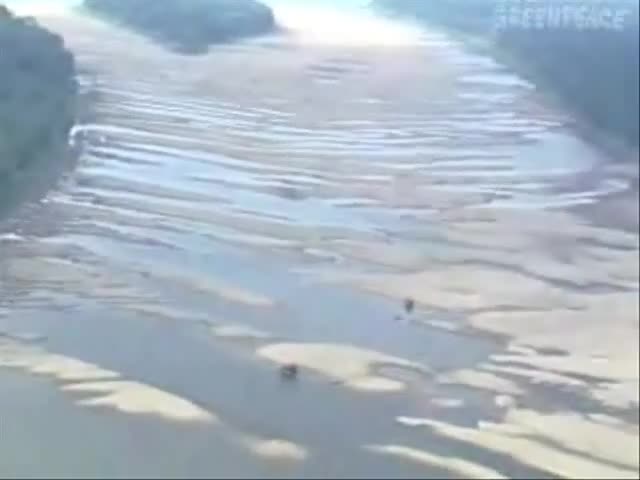 Да Спасим Земята