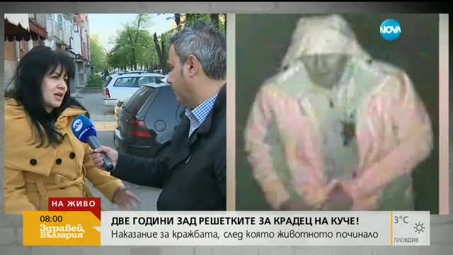 Две години затвор за откраднат пинчер