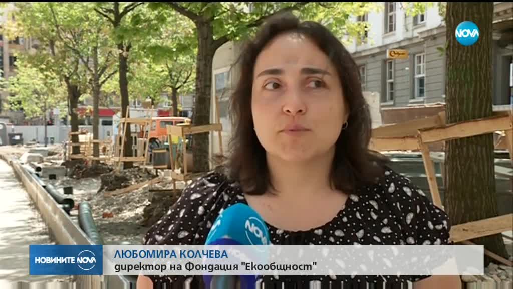 Напрежение сред гражданите заради отсечени дървета на площад „Славейков”