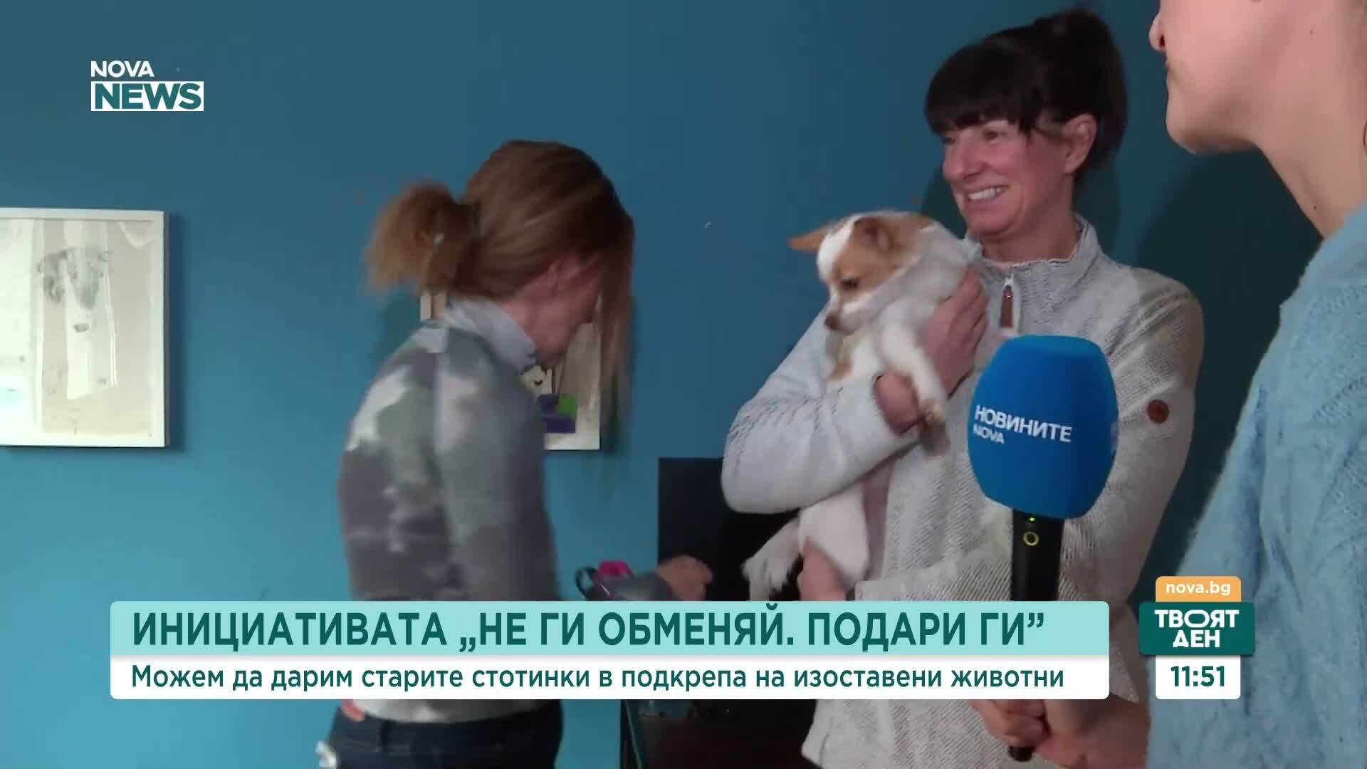 Фондация "Шаро" събира старите стотинки за грижа за бездомни животни