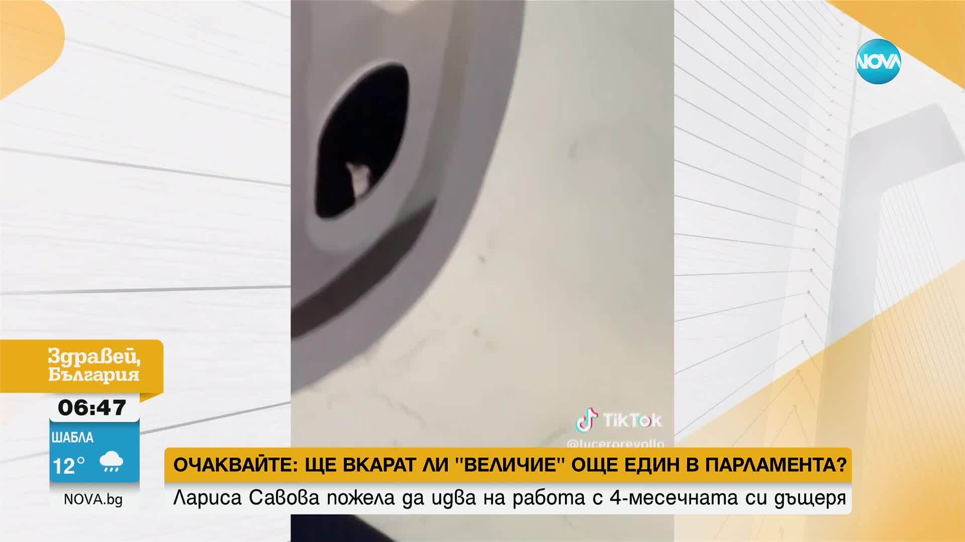 Котка се покатери по 40-метрова статуя на Христос
