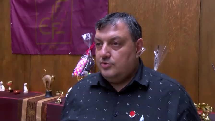 Котарак "турска ангора" стана национален шампион