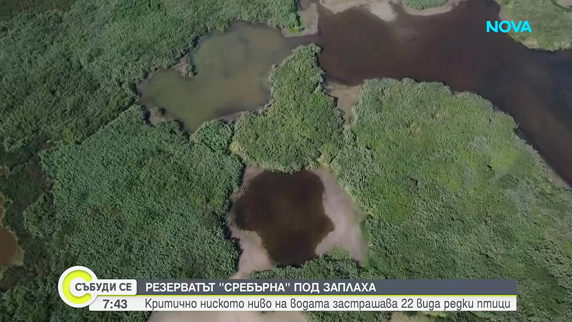 Обявиха частично бедствено положение в Силистра заради пресъхващото езеро Сребърна