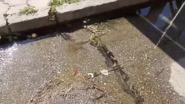 "Моята новина": Теч до стадион „Пловдив”