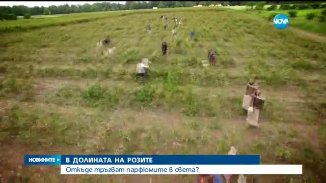 Новините на Нова (01.06.2016 - следобедна)