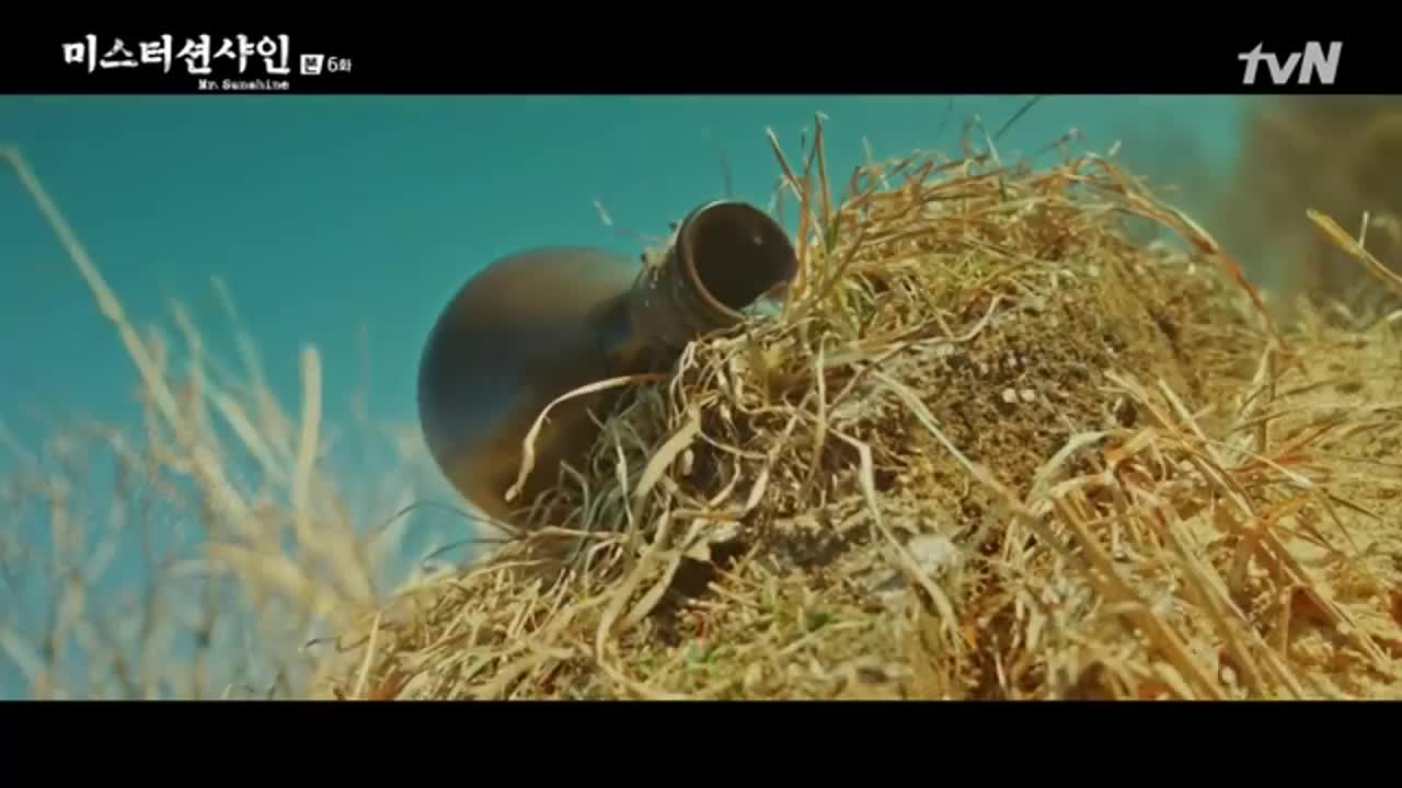 Господин Слънчице E06 1/2