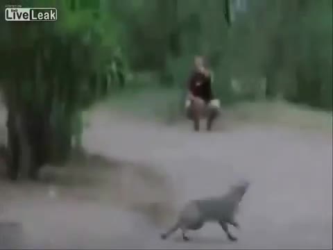 >Невероятно котка улавя плячка със салто.