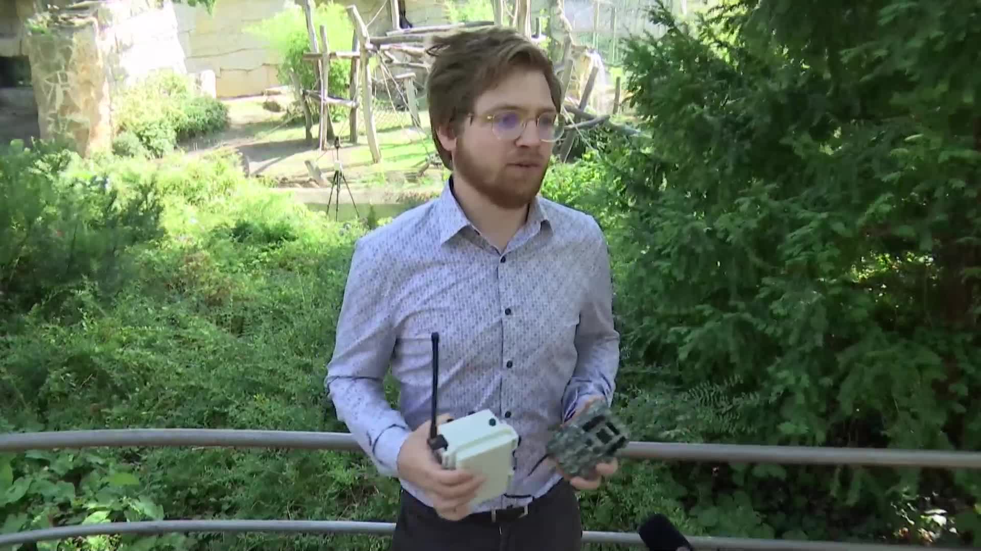 AI ще следи поведението на горилите в зоопарка в Берлин (ВИДЕО)