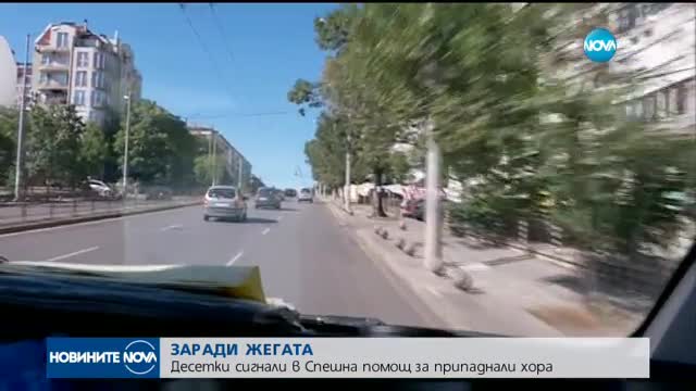 ЗАРАДИ ЖЕГАТА: Десетки сигнали в Спешна помощ за припаднали хора