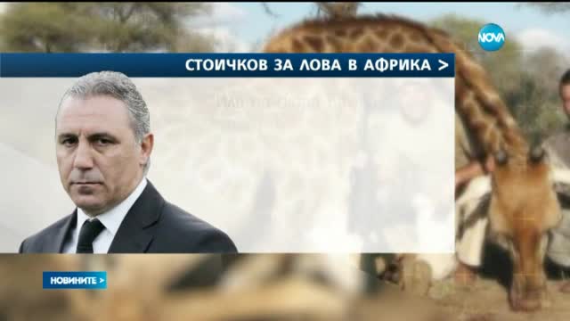 Стоичков: Ако снимката беше с диво прасе, щяхте ли да сте толкова ядосани?