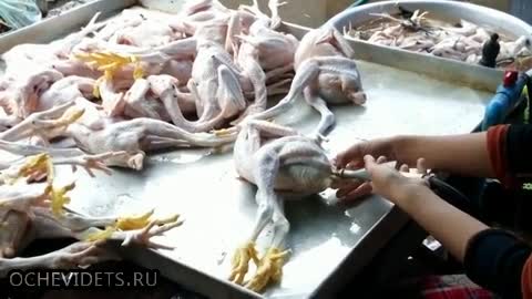 Ужас! Ето как пълнят пилета с вода