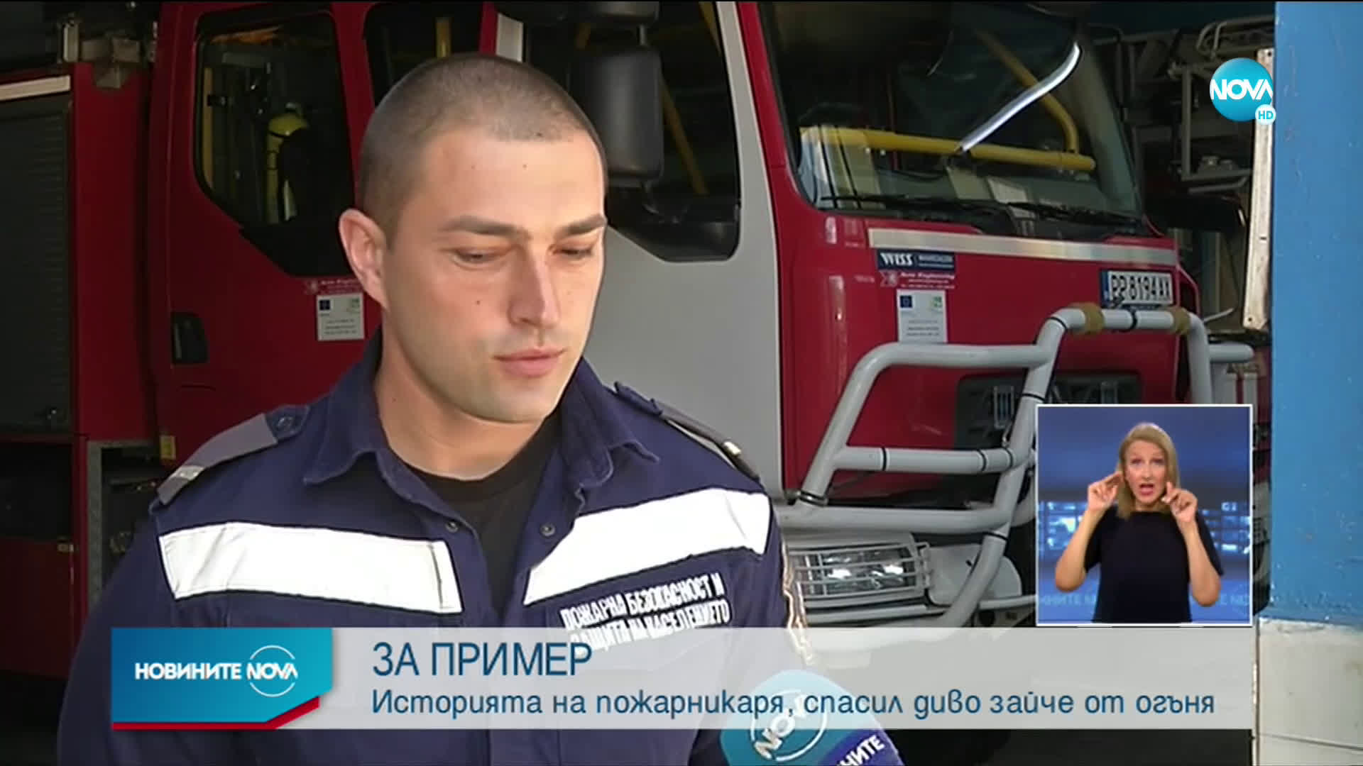 ЗА ПРИМЕР: Пожарникар спаси диво зайче от пламъците в Разград