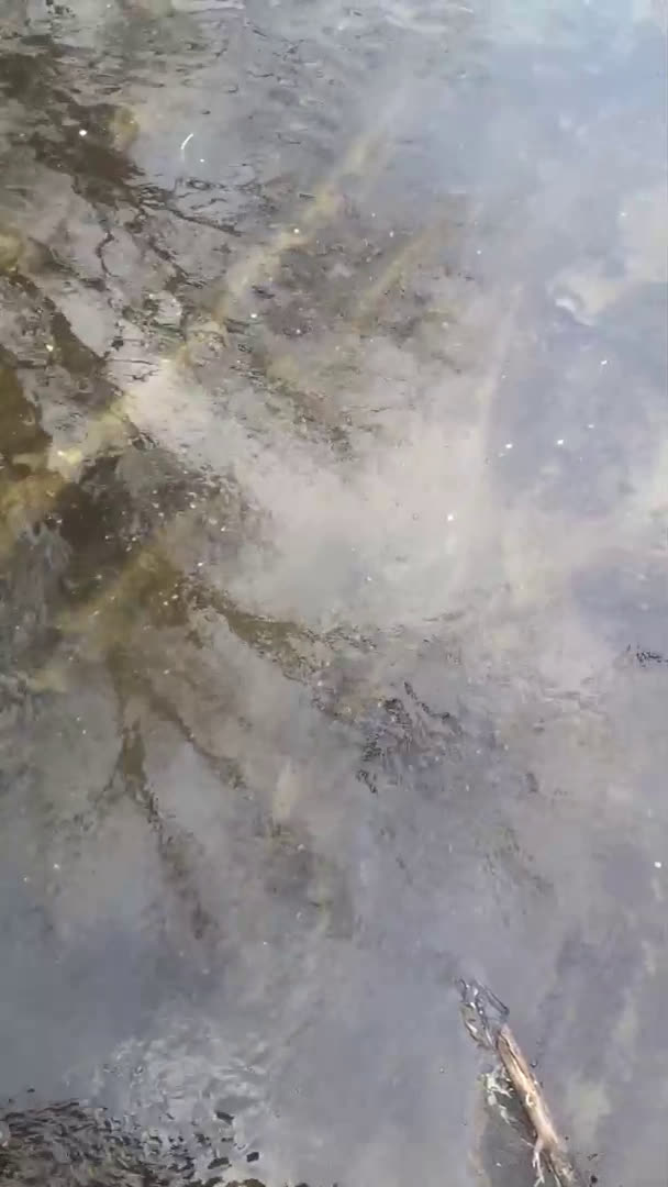 Замърсена река в Северния парк
