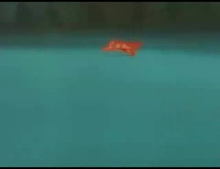 Naruto vs Sasuke