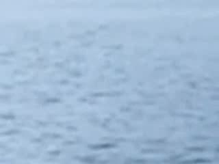 В Търсене На Неси - Чудовището Съществува