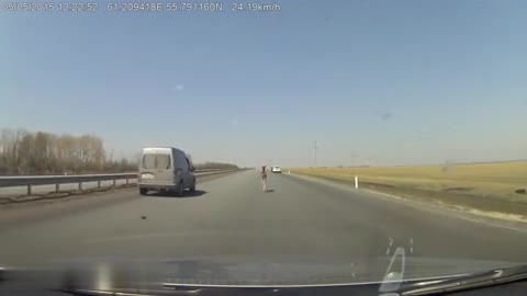 Шофьори спасяват младо конче от сблъсък бягащо по магистрала