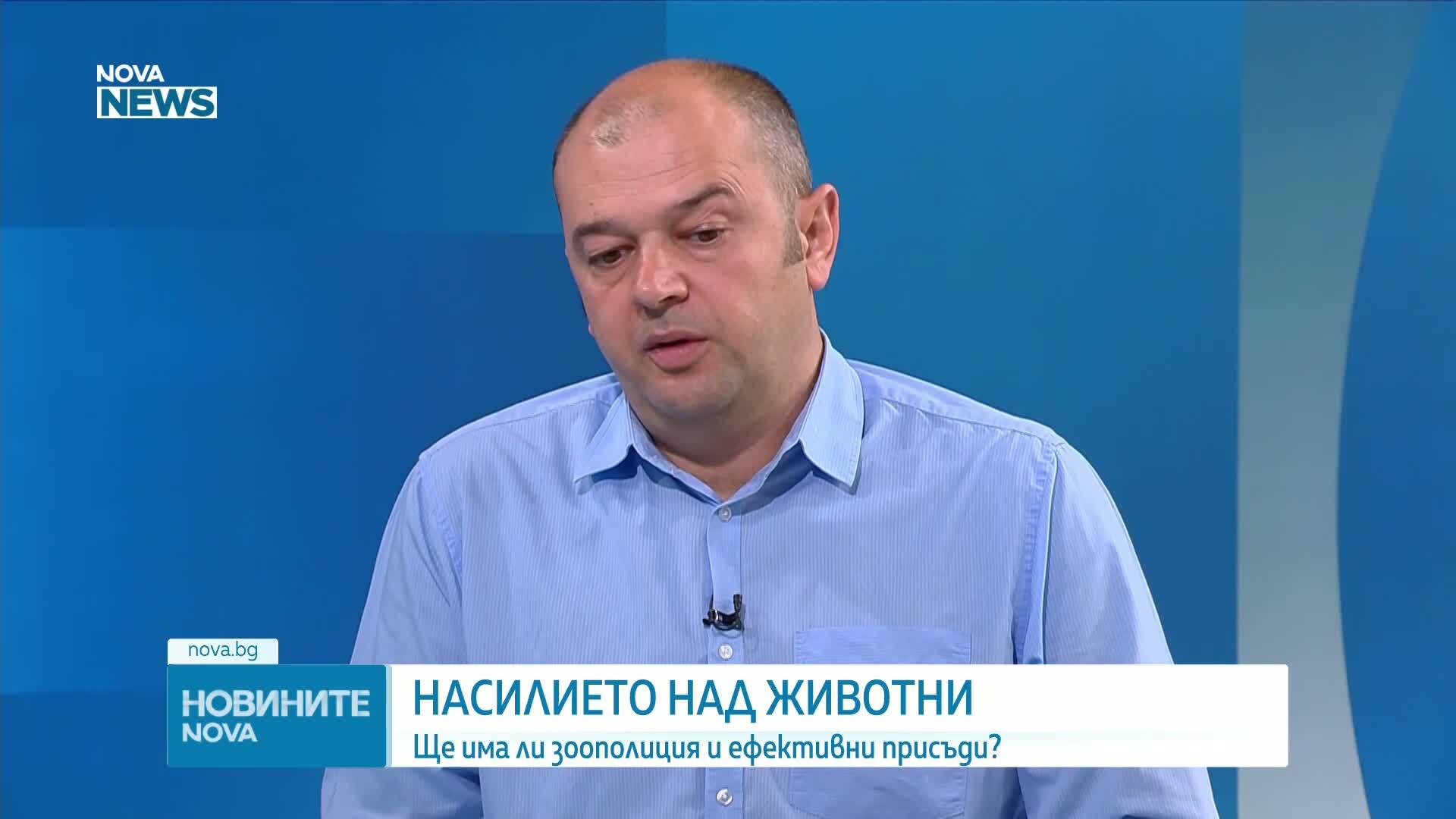 Ще има ли зоополиция и ефективни присъди срещу насилието над животни?