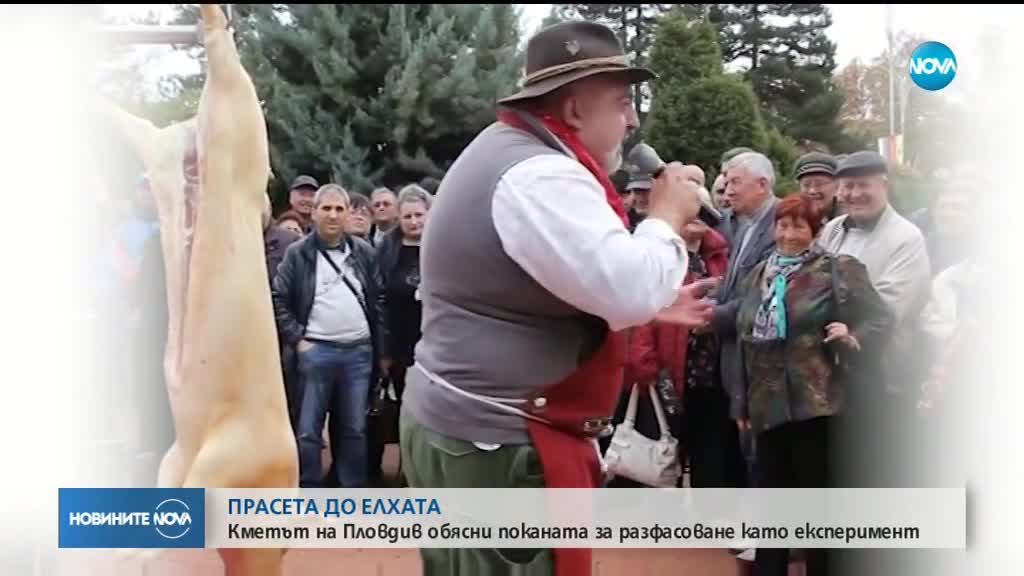 Ще разфасоват ли прасета в центъра на Пловдив за Коледа?
