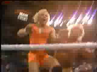 Hogan/Warrior Vs Mr Perfect/Genius
