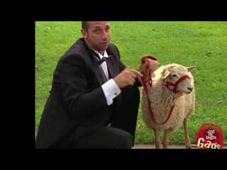 Best Of Just For Laughs Gags 2016 -най - доброто за смях