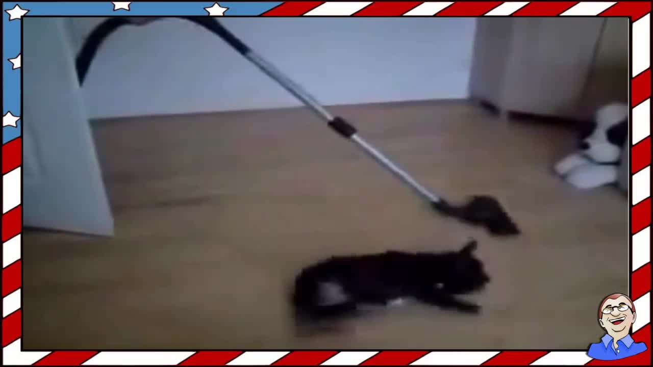 Животински дрифт - Смях