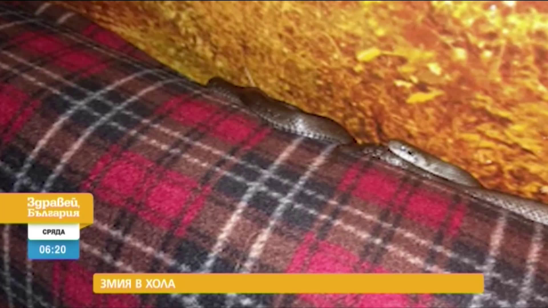 В „Здравей, България” на 24 юни очаквайте