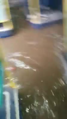 Стихията превърна автобус 45 в Титаник - София!
