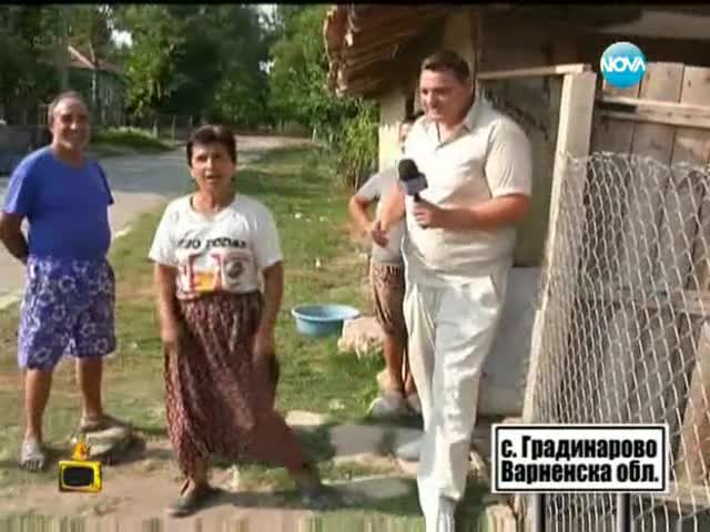 Господари на ефира -млад меринджей