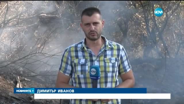 Новините на NOVA (22.08.2016 - обедна емисия)