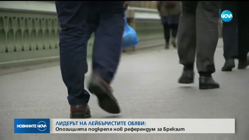 Опозицията във Великобритания иска нов референдум за Brexit