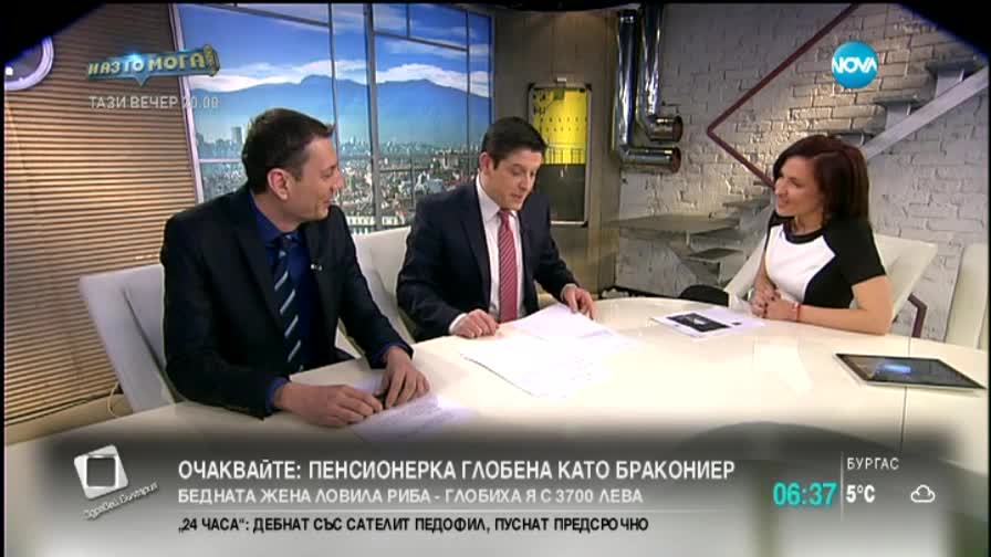 Плодните дръвчета цъфнаха